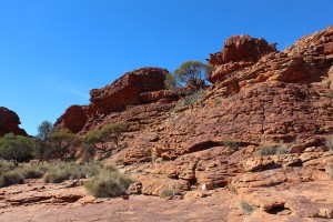 Kings Canyon & Alice Springs-018